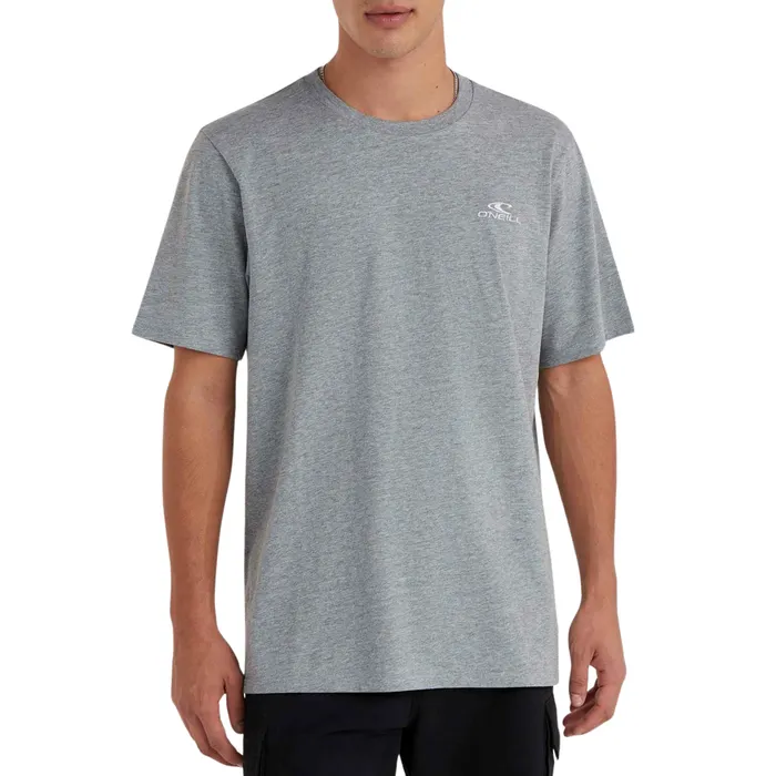 O'Neill Small Logo Shirt Heren