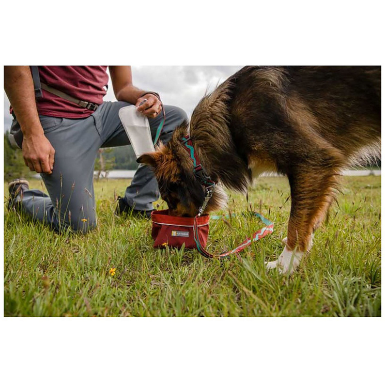 Ruffwear Flat Out Hundehalsband