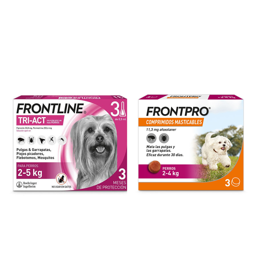 Pipetas Frontline Tri-Act + comprimidos mastigáveis Frontpro para cães de pequeno porte.