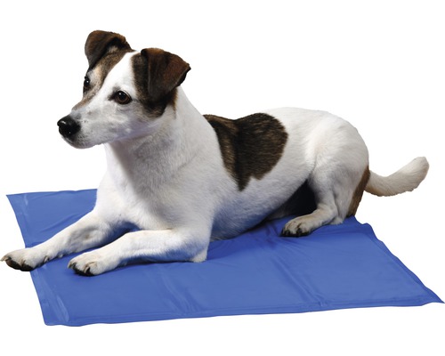 Koelmat M 50 x 40 cm blauw