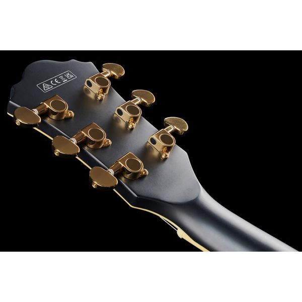 Ibanez AS73 G BKF