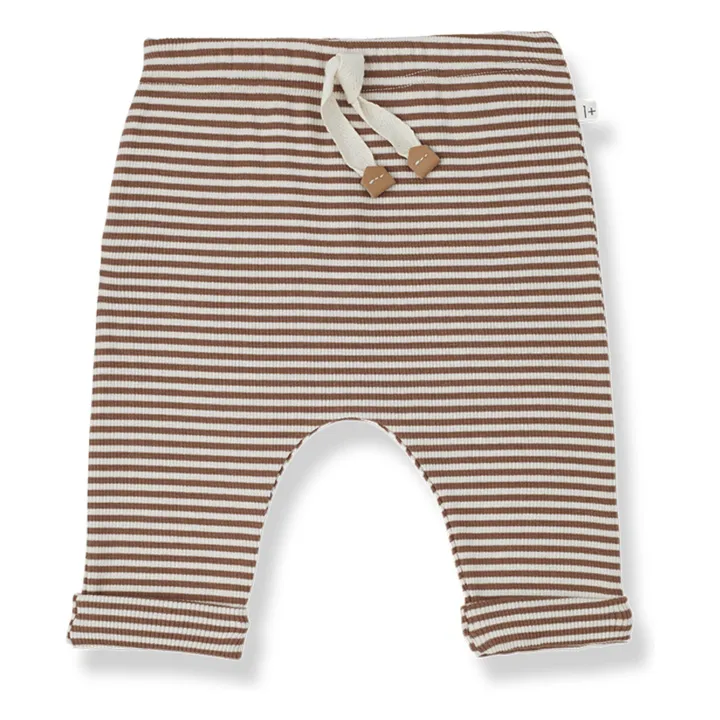 1+ in the family Sarouel Mattia Jersey Côtelé | Chocolat
