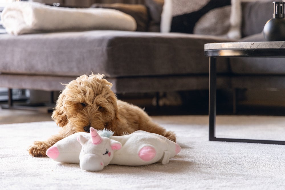 Beeztees hondenspeelgoed warmteknuffel monster wit 33 x 12 x 34 cm