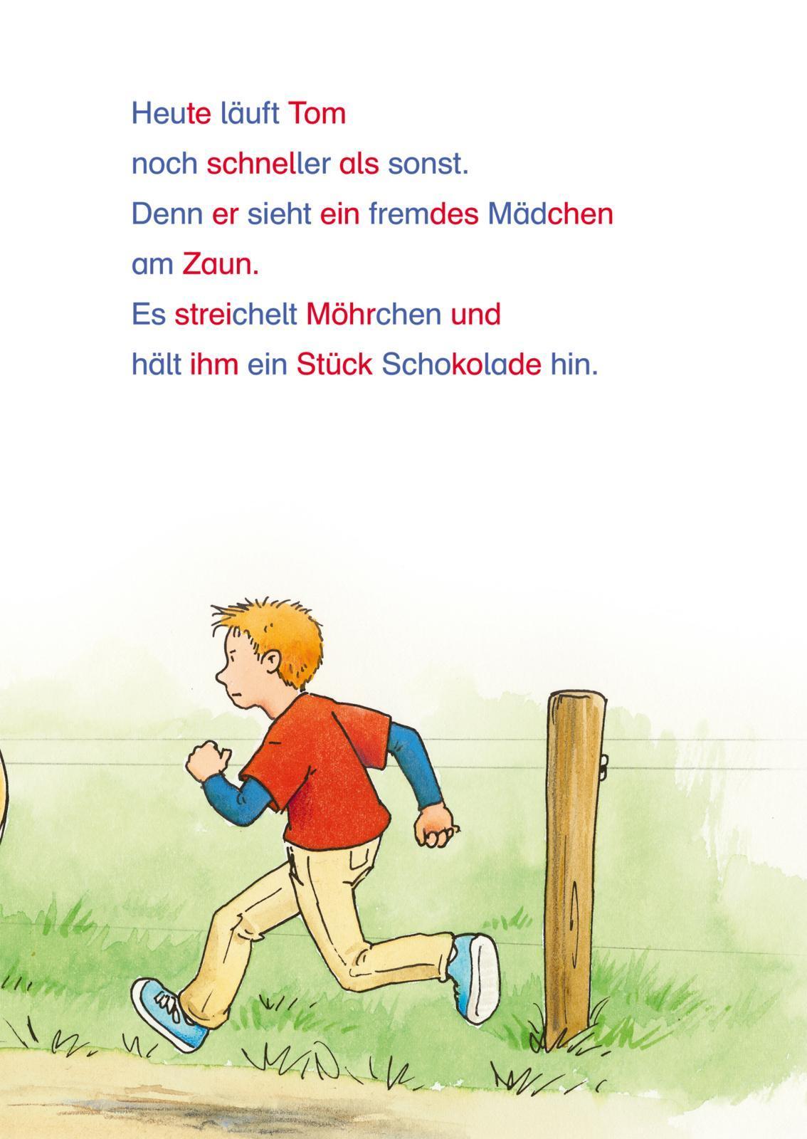 Lesenlernen mit ... / LESEMAUS zum Lesenlernen Sammelbände: Die schönsten Pferde-Silben-Geschichten