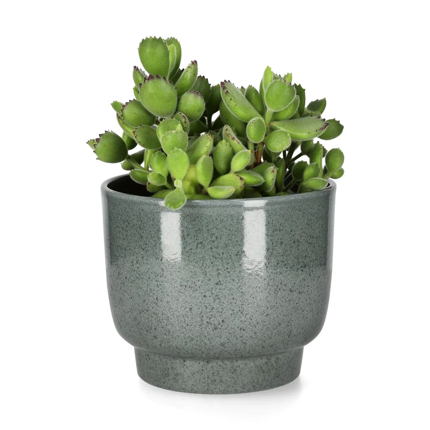 Potte Eda Ø15 cm
