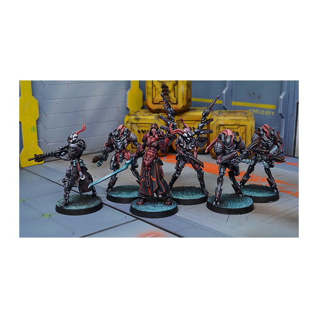 Infinity - Combined Army Starter Pack