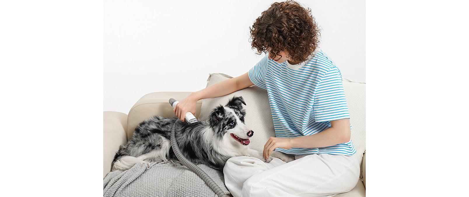 P0 Pro Hundeschermaschine, 5in1 mit StaubsaugerSchermaschine, Tiersauger für Hunde und Katzen
