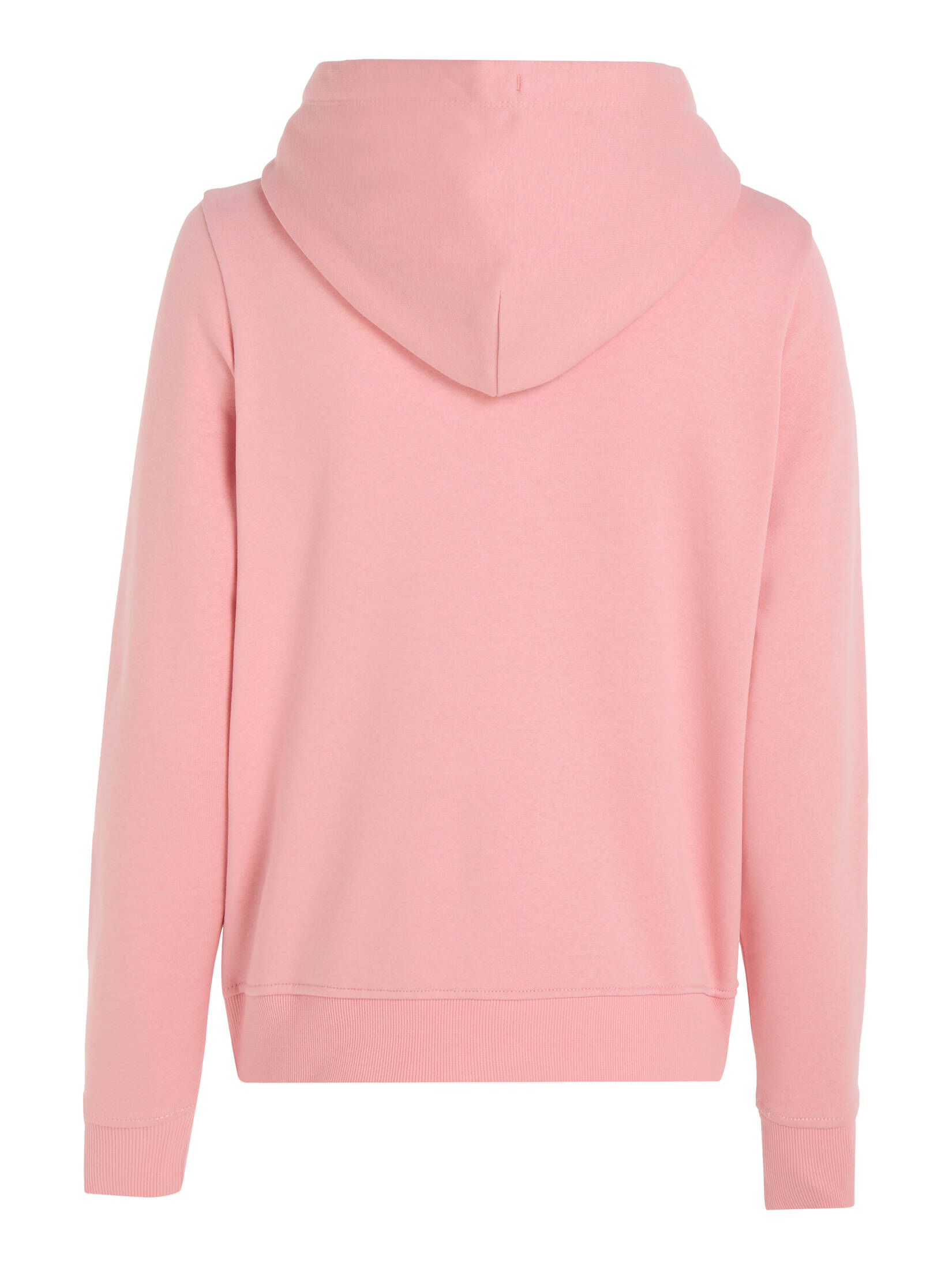 Tommy Jeans| Damen Sweatshirt mit Kapuze TJW REG LINEAR HOODIE