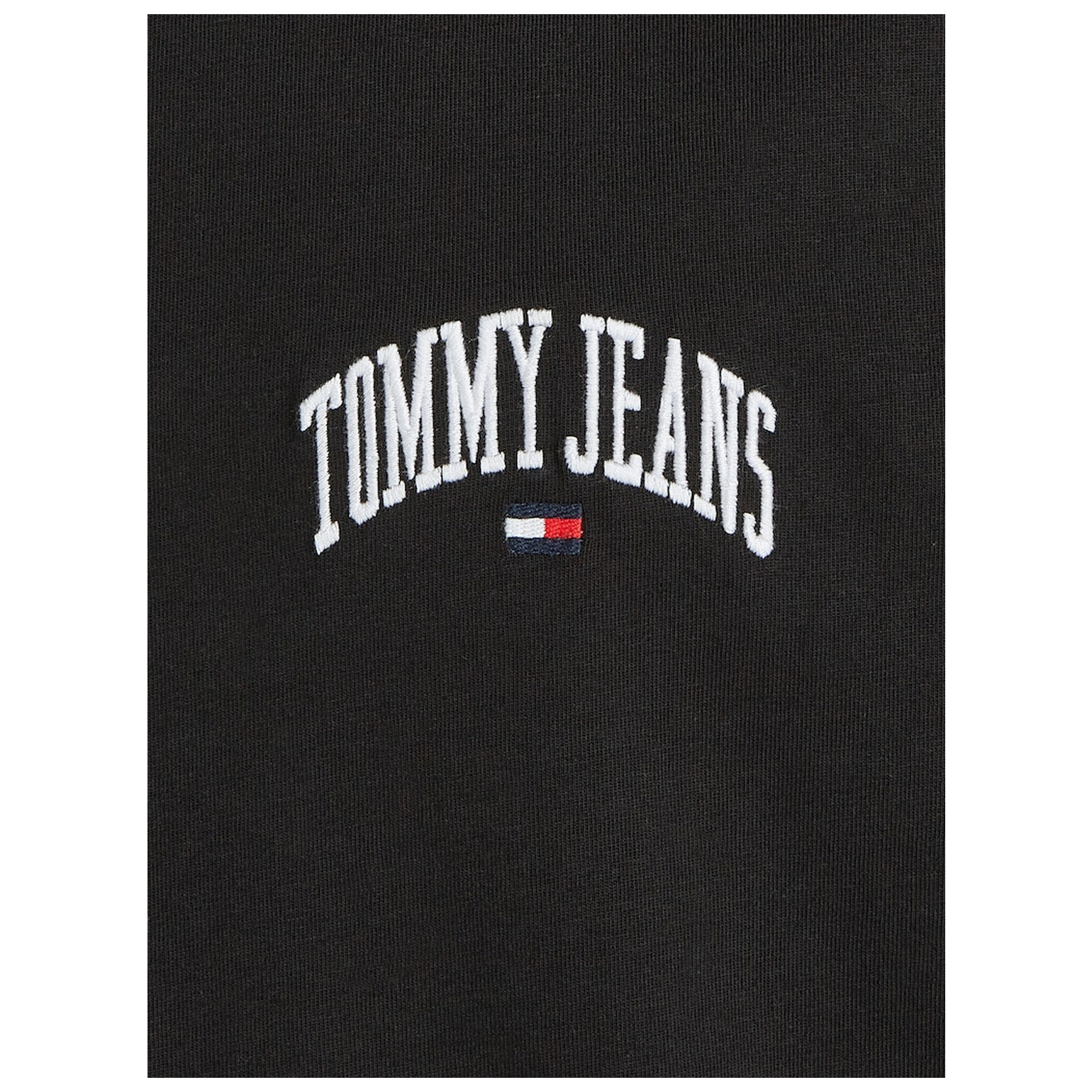 Tommy Jeans TJM REG VARSITY TEE