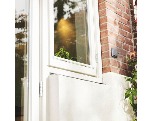 Trust Smart AGST-8800 Draadloze buitenwandschakelaar IP44 Zwart/Grijs