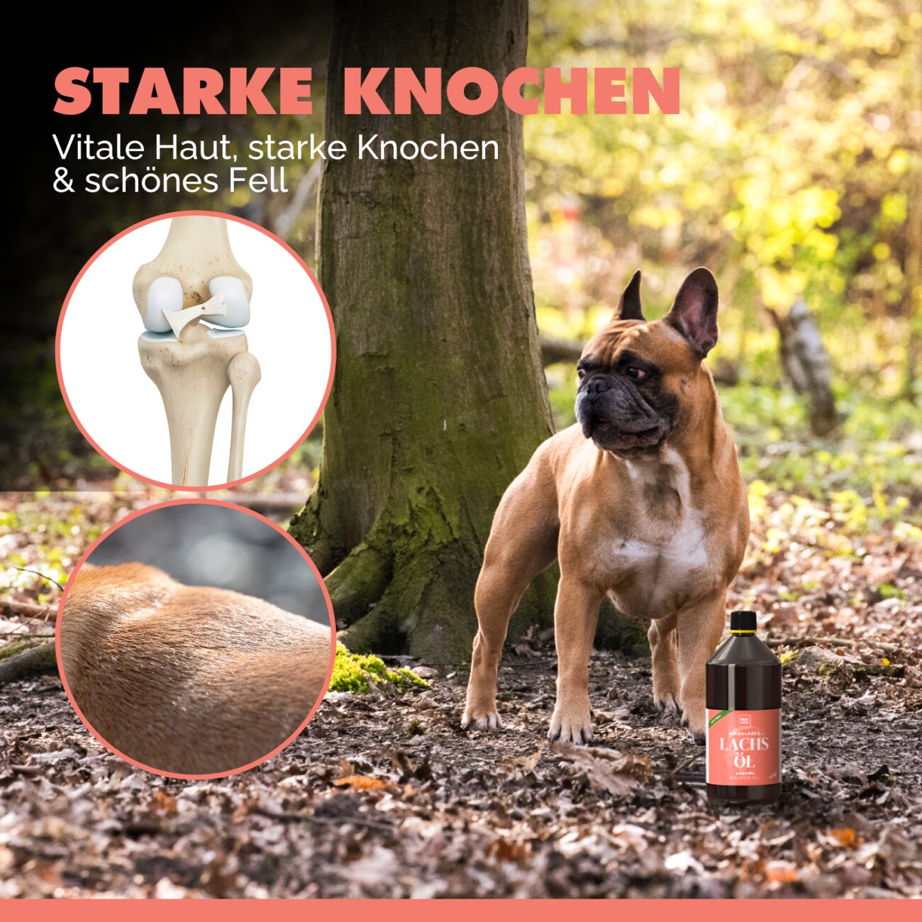 PAW WOW singulares Lachsöl 1l