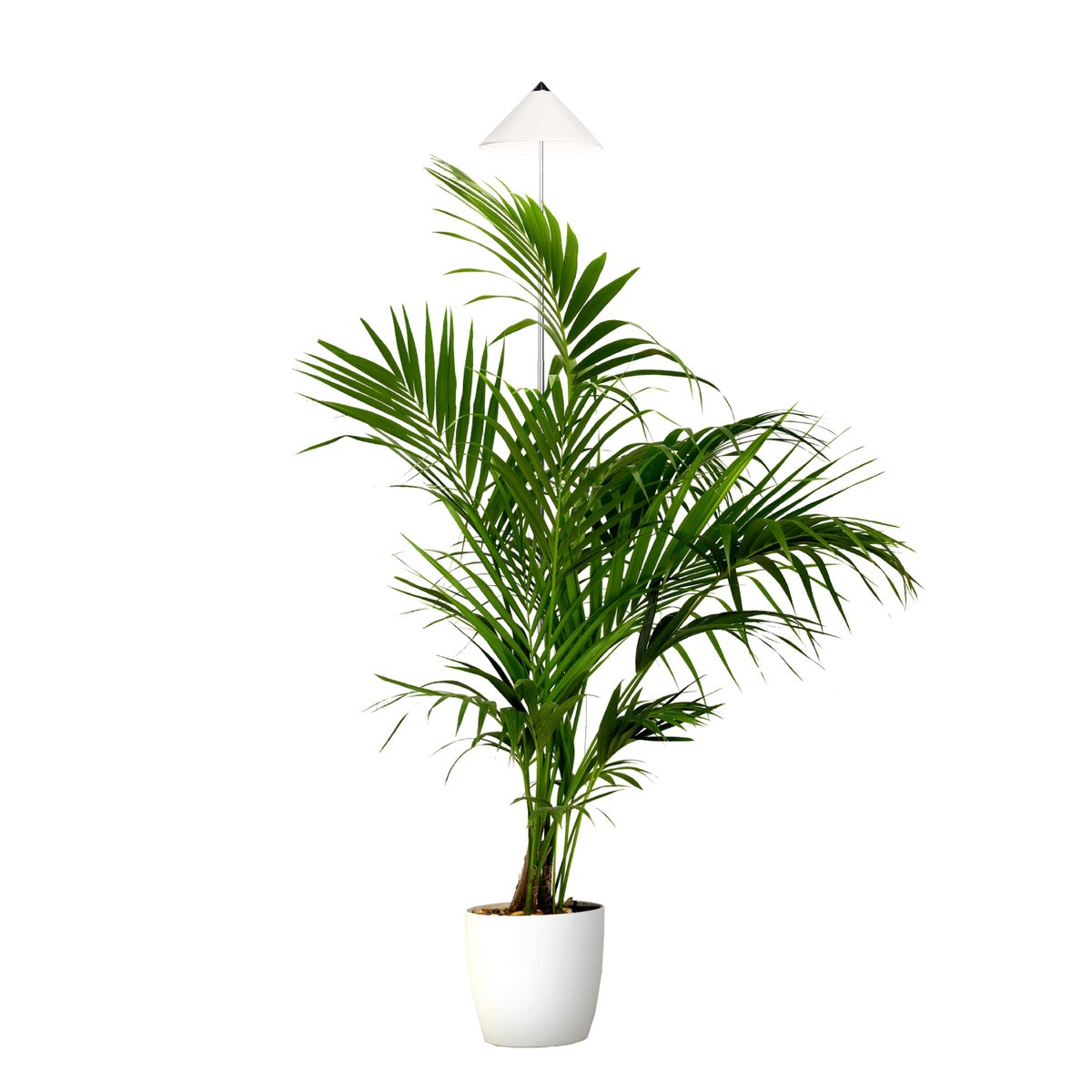 Parus by Venso SUNLITE XL LED Full Spectrum Plantenlamp Wit 25W Binnenplantenverlichting, met uitschuifbare telescopische paal, Parus plantenlamp voor grote en kleine kamerplanten