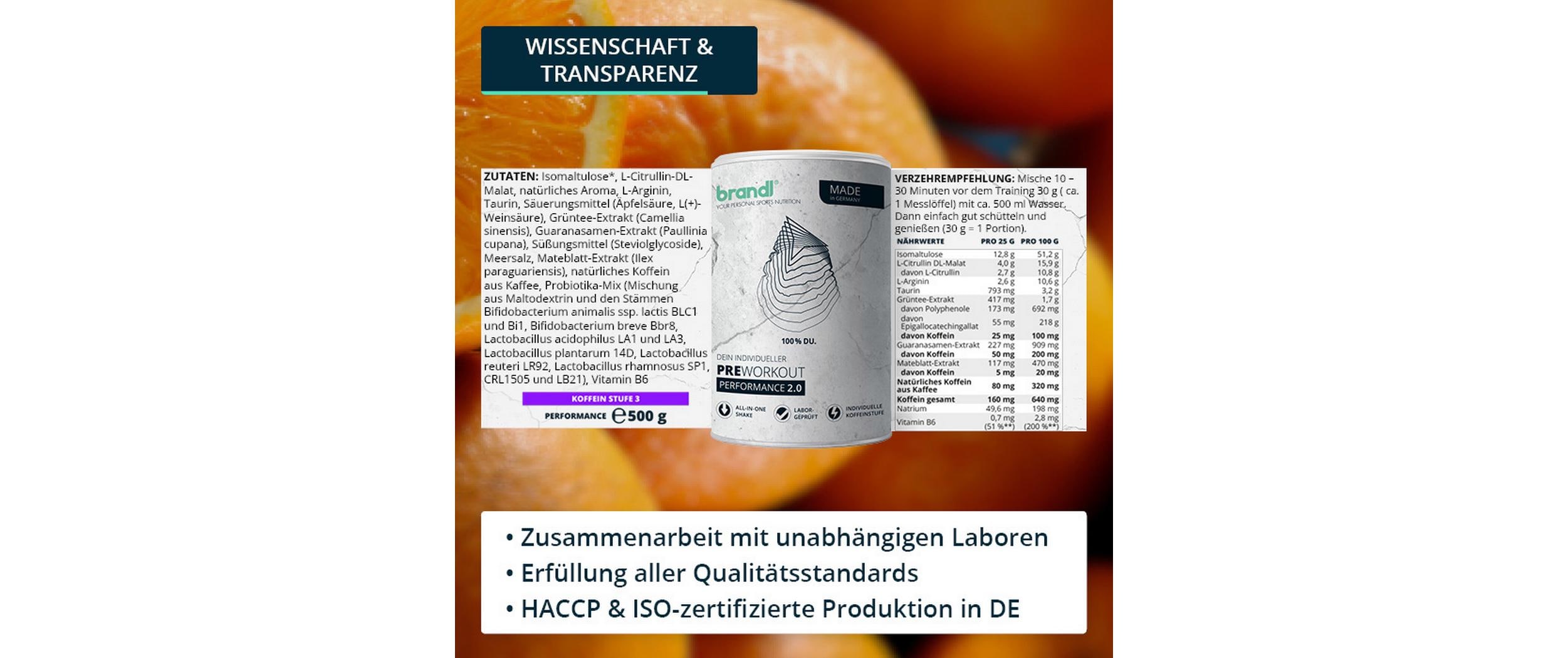 Pulver Pre-Workout Booster Guarana/Yerba Mate 500 gPerformance Booster mit 100% studienbasierten Wirkstoffen