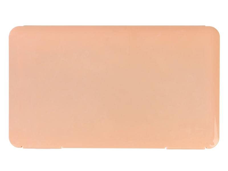 FTM Schutzhülle für Hygienemasken, 1 Stück Tragbare Maskenbox, Aufbewahrungsbox