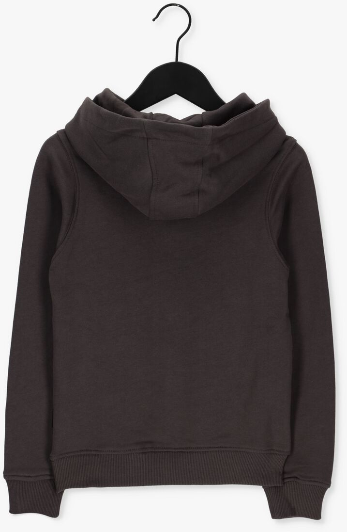 BALLIN grijze ballin sweater 22037310