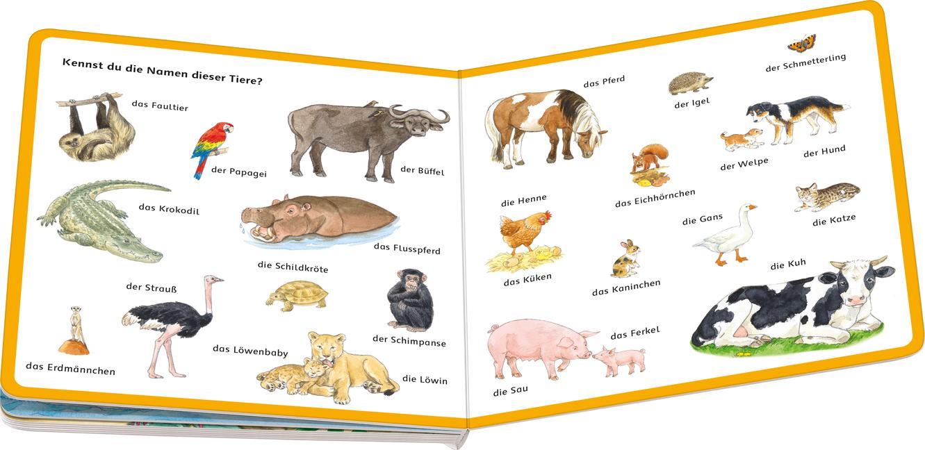 Mein Bilder-Wörterbuch: Unsere Tiere