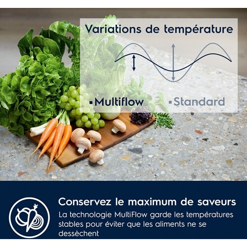 Réfrigérateur congélateur en bas Electrolux ENT6MD18S4