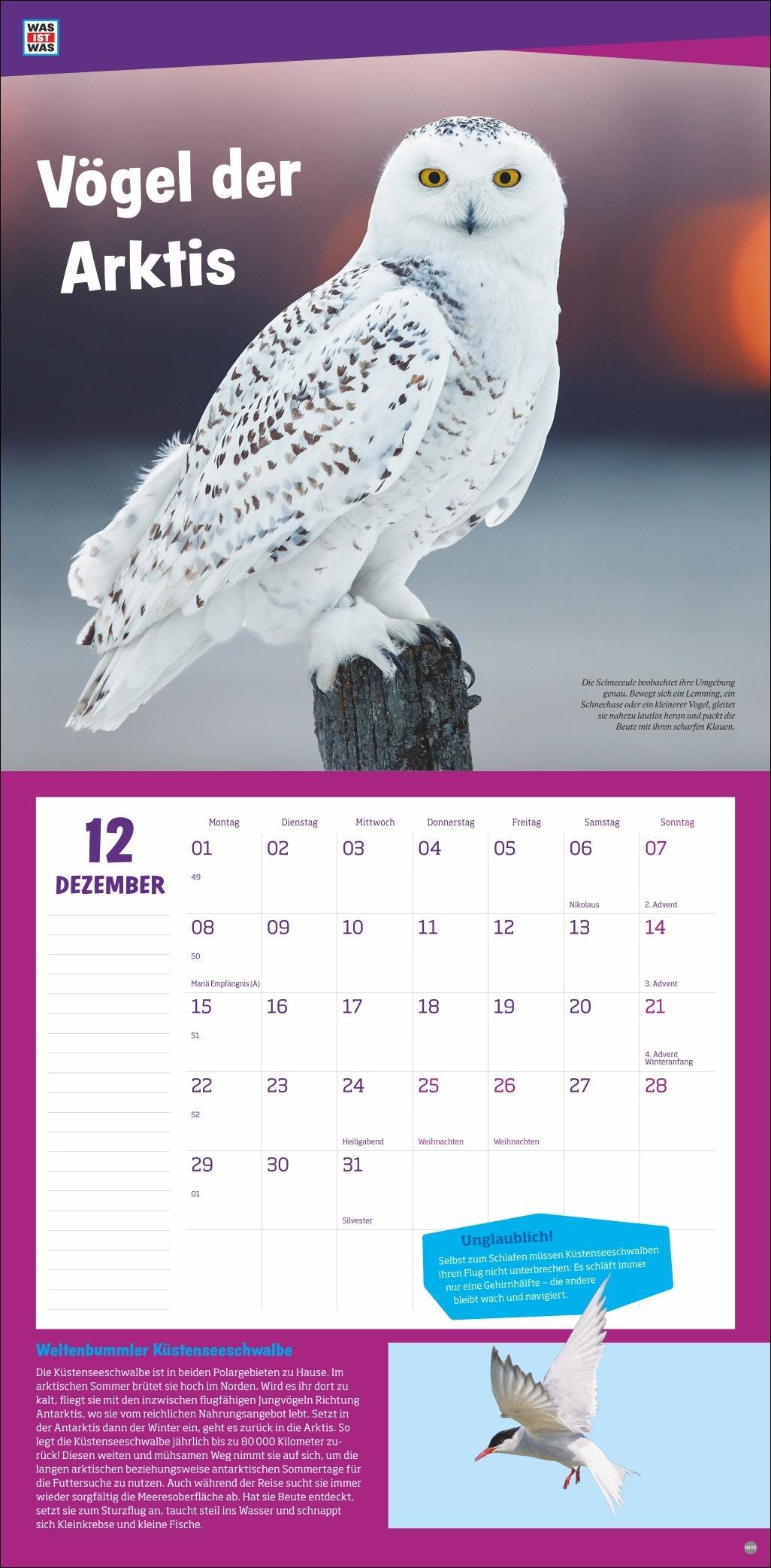 WAS IST WAS Tierwelt Broschurkalender 2025