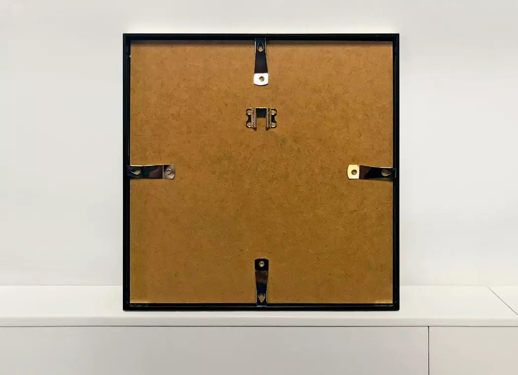 Wandbild 30 x 30 cm Darwin’s Preoccupations