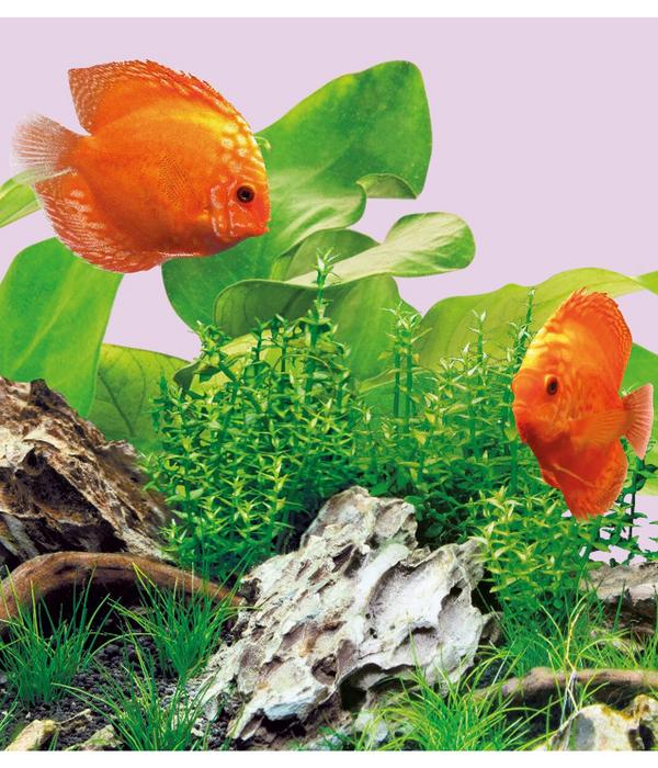 JUWEL® AQUARIUM Aquariumbeleuchtung LED