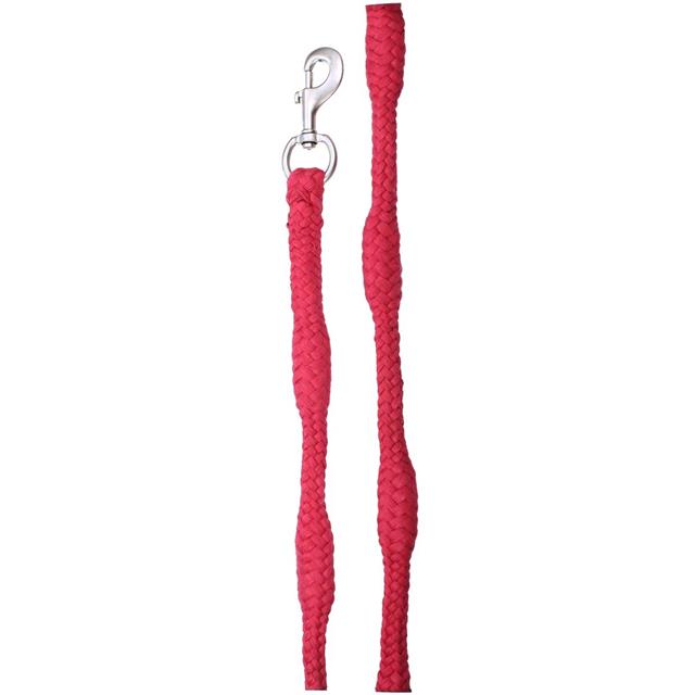 Halstertouw Epplejeck Met Stops Roze