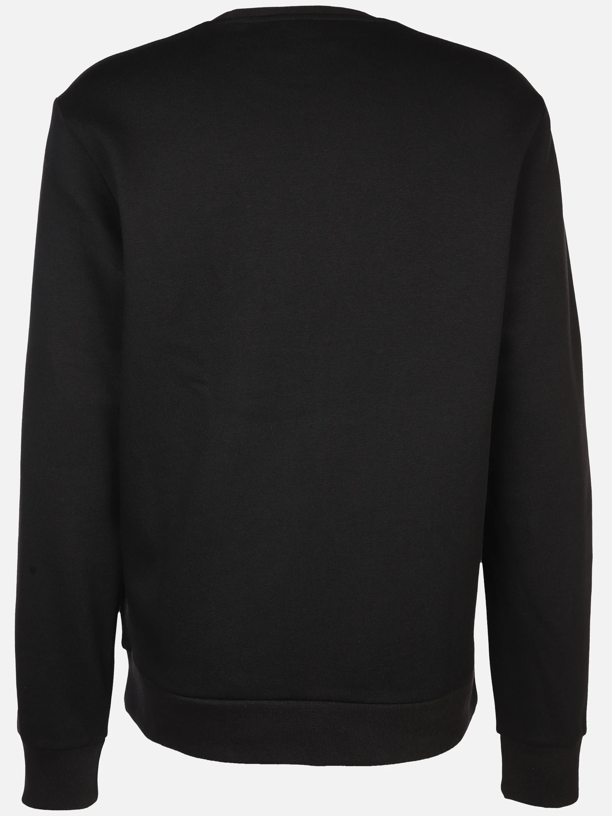 Herren Sweatshirt mit Print