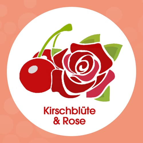 Sagrotan Samt-Schaum Seife Nachfüller Kirschblüte & Rose