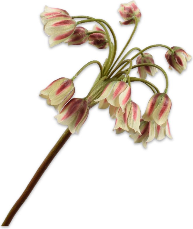 Silk-Ka kunstbloem Allium bruin groen 68 cm