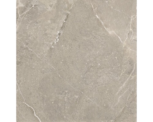 Porseleinen steengoed wand- en vloertegel Anden 60 x 60 x 0,9 cm Natuurlijk mat grijs R9 A