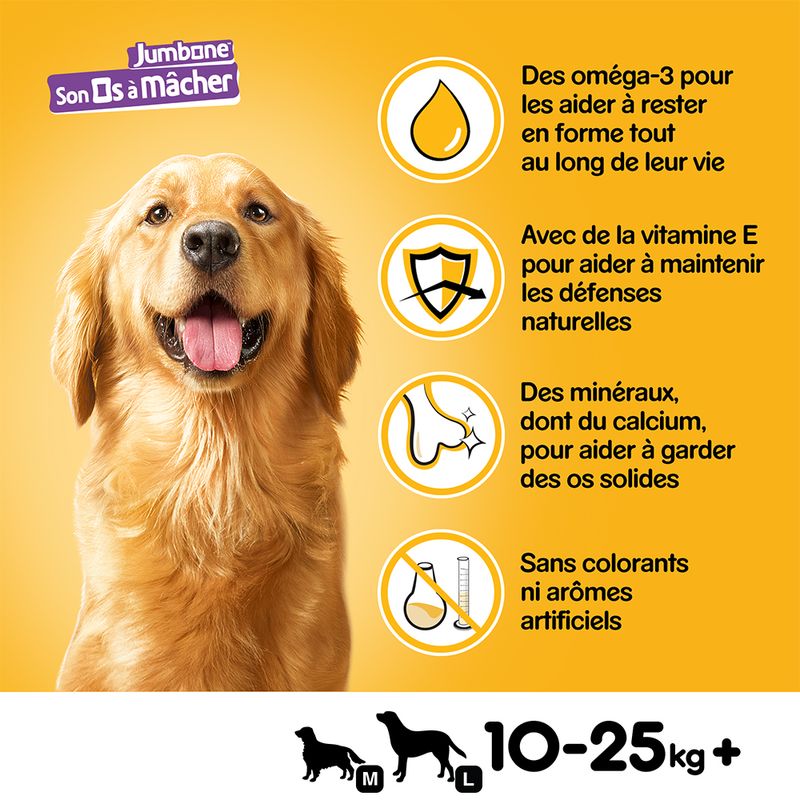 Son Os à mâcher Pedigree Medium