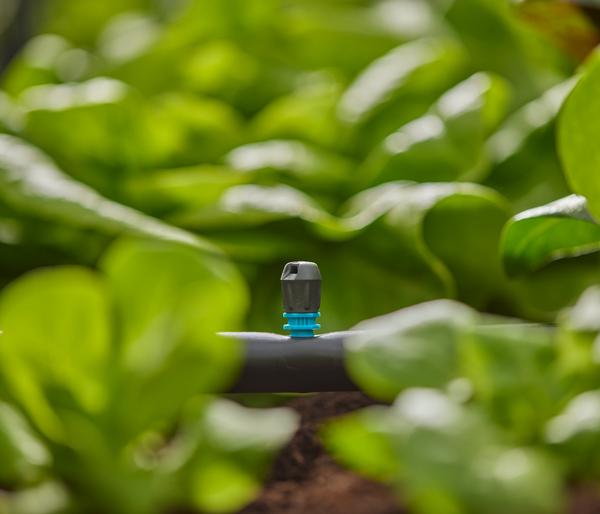 GARDENA Micro-Drip-System Streifendüse, 5