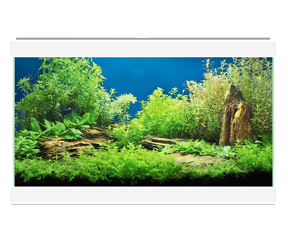 Aqua 20 Ciano Branco - 17 Litros - Kit com Iluminação, Filtro e Consumíveis