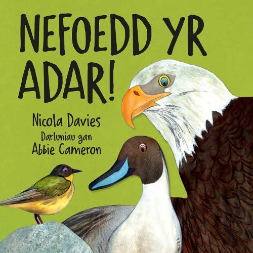 Nefoedd Yr Adar! - Rhyfeddol! 3 (Paperback)