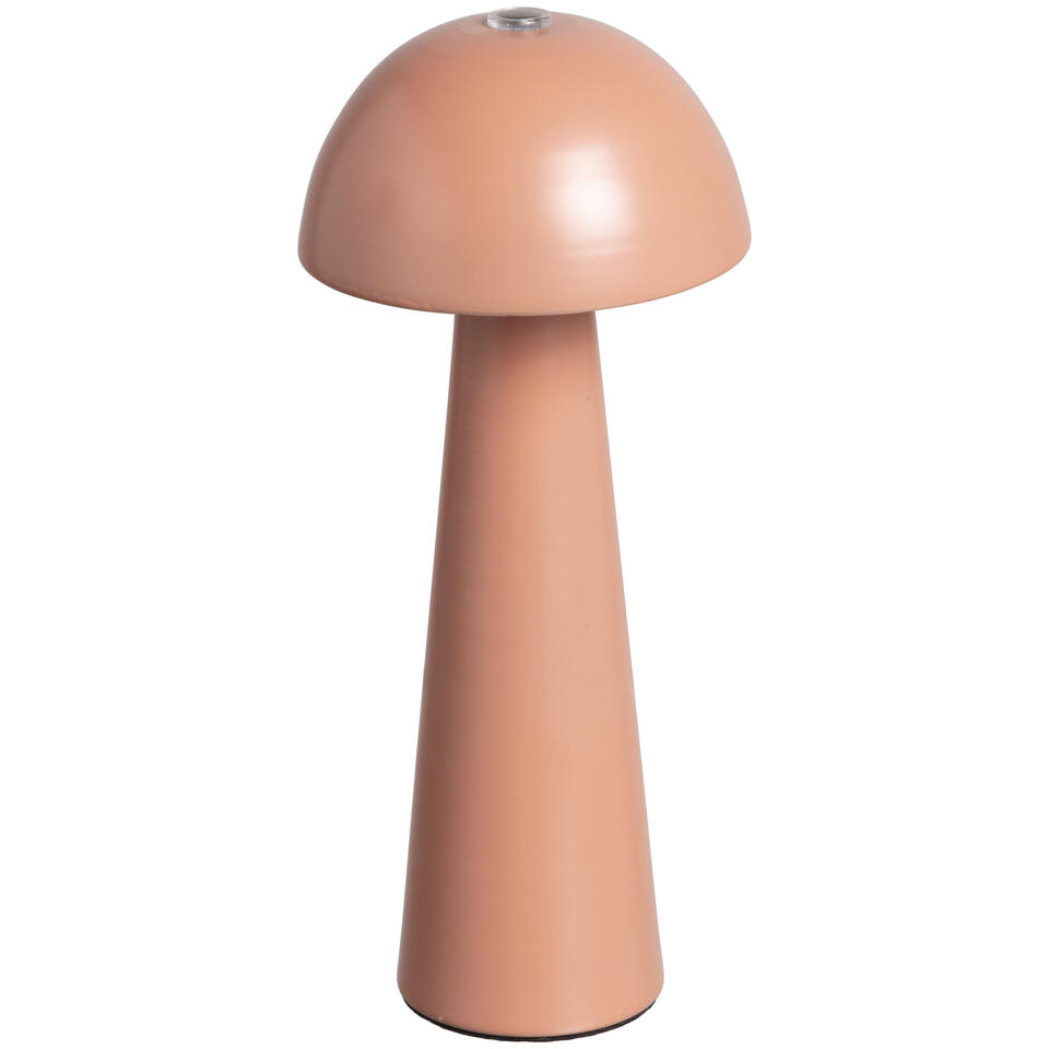 Tafellamp USB Alzir Terra