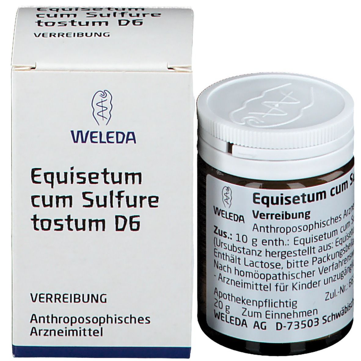 Equisetum Cum Sulfure Tostum D6