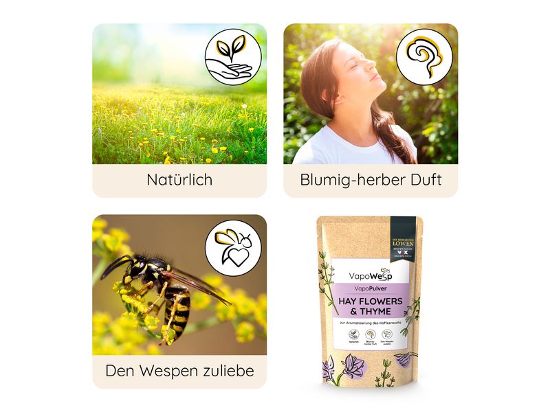 VapoWesp Ersatzkräuter Heublumen & Thymian, 100 g Aromakräuter- Nachfüllpackung für die Räucherbox