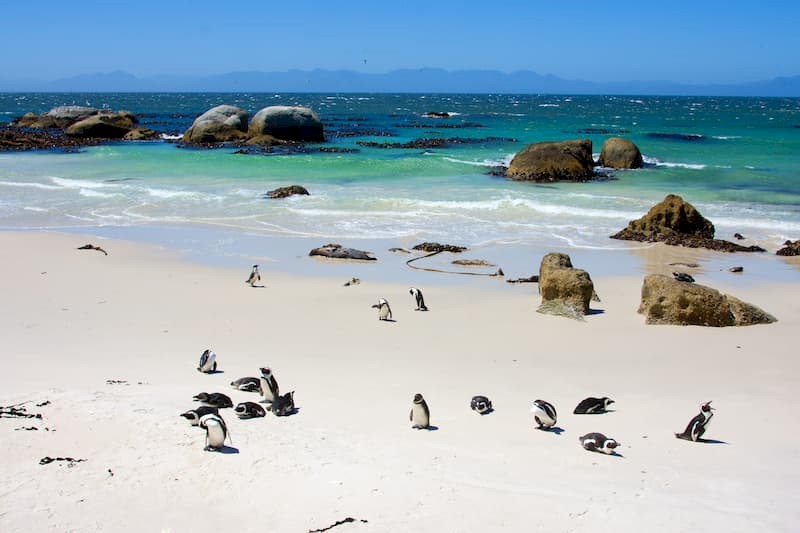 13 dagen Garden Route in Zuid-Afrika