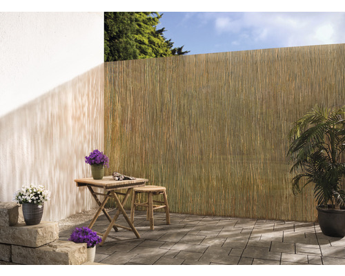 Privacyschermmat riet 600 x 100 cm