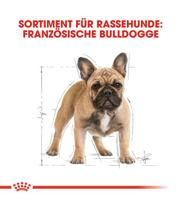 ROYAL CANIN® Trockenfutter für Hunde French