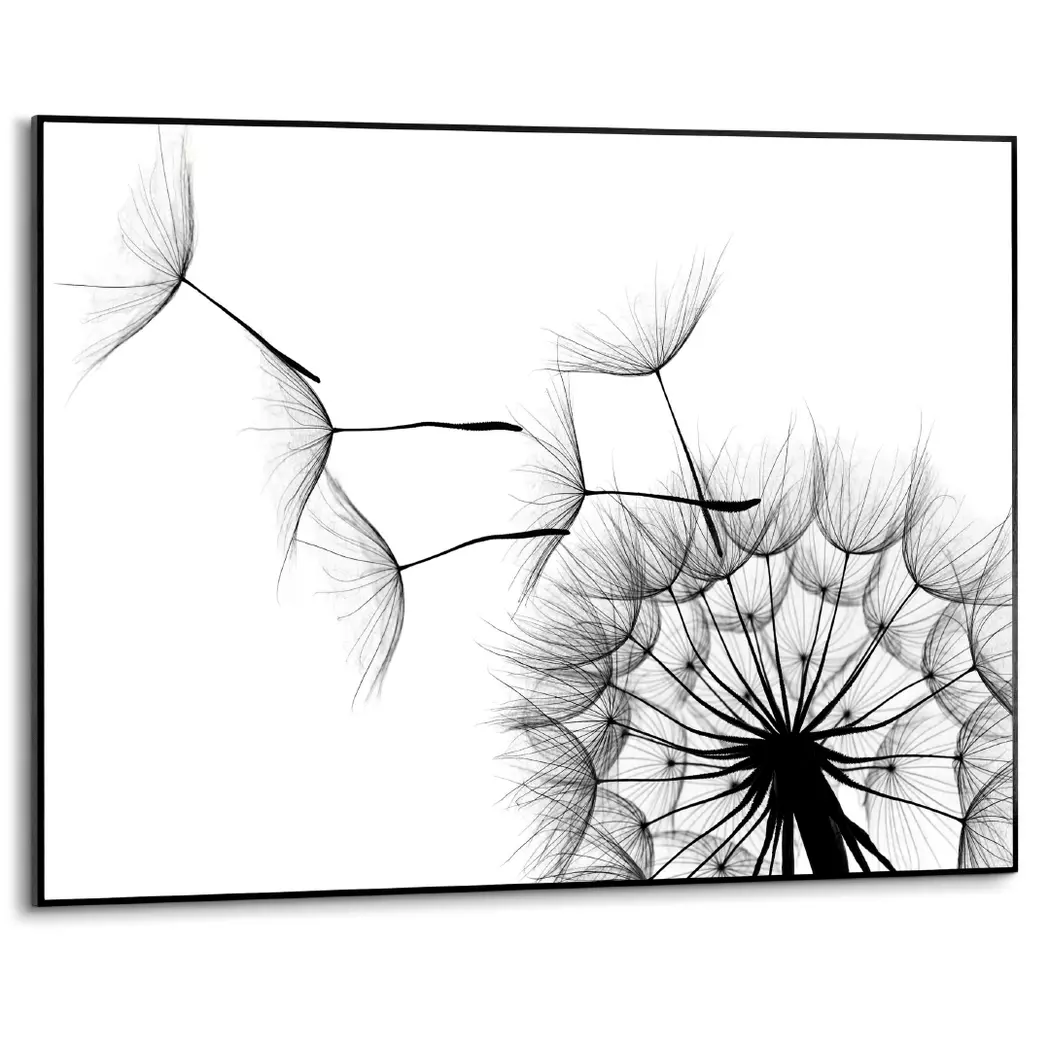Wandbild 70 x 50 cm Dandelion