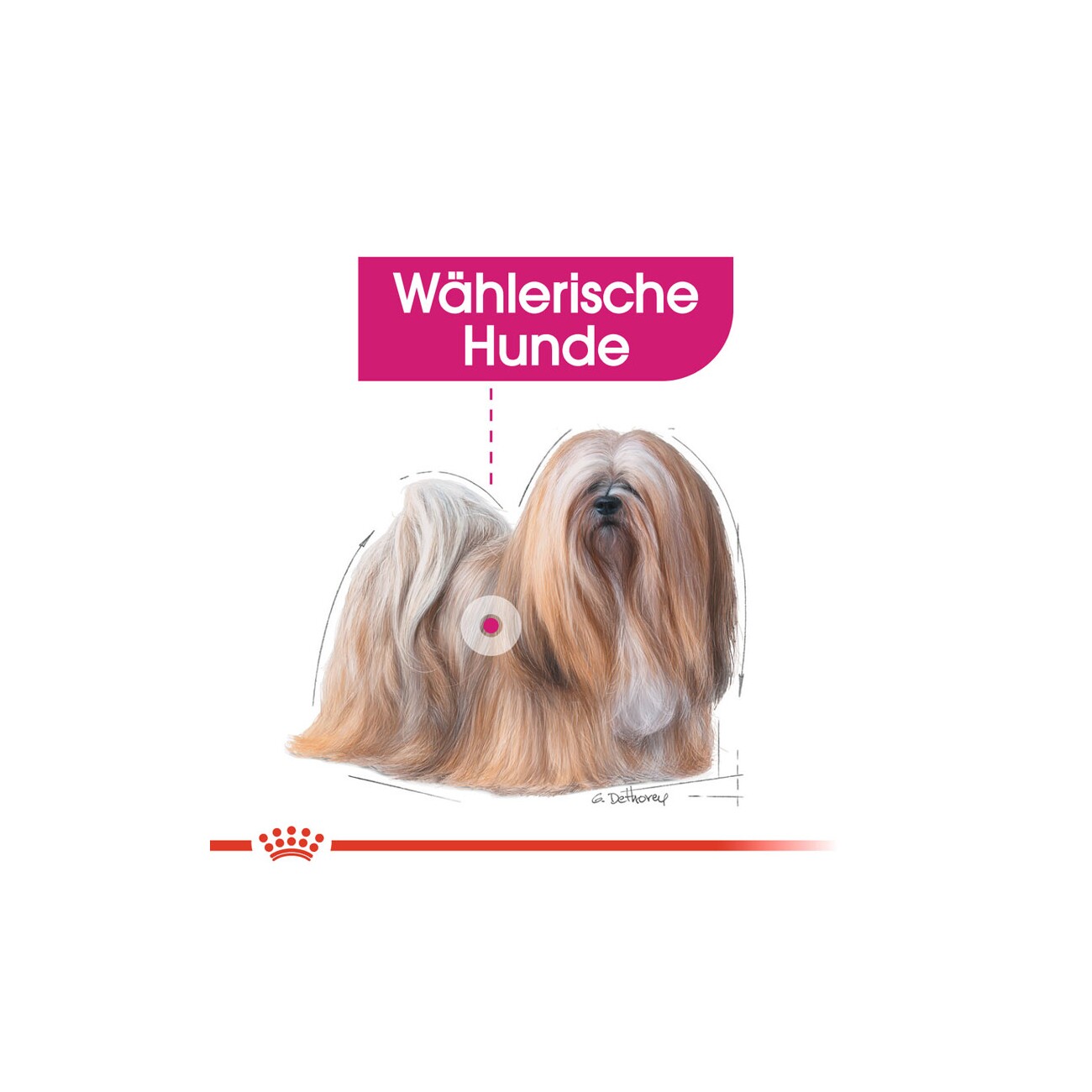 ROYAL CANIN Exigent Mousse 12x85 g