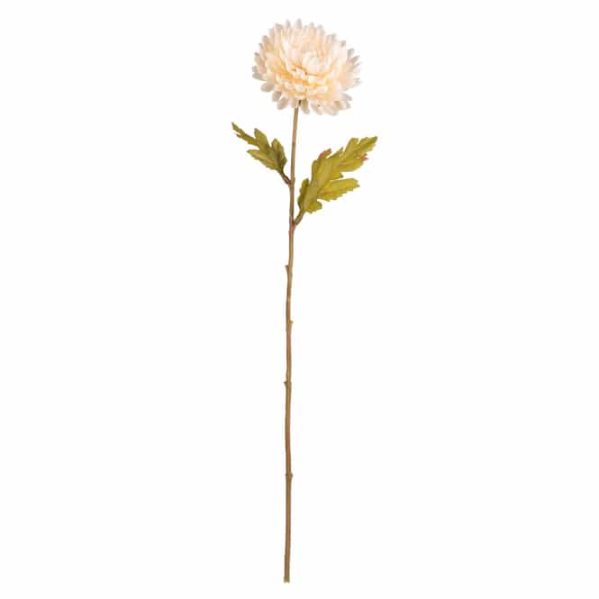 Chrysantheme - creme - ca. 60 cm