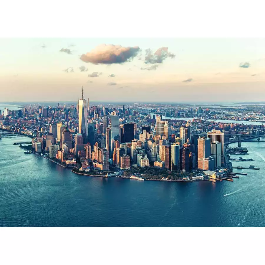 Ravensburger New York bunt