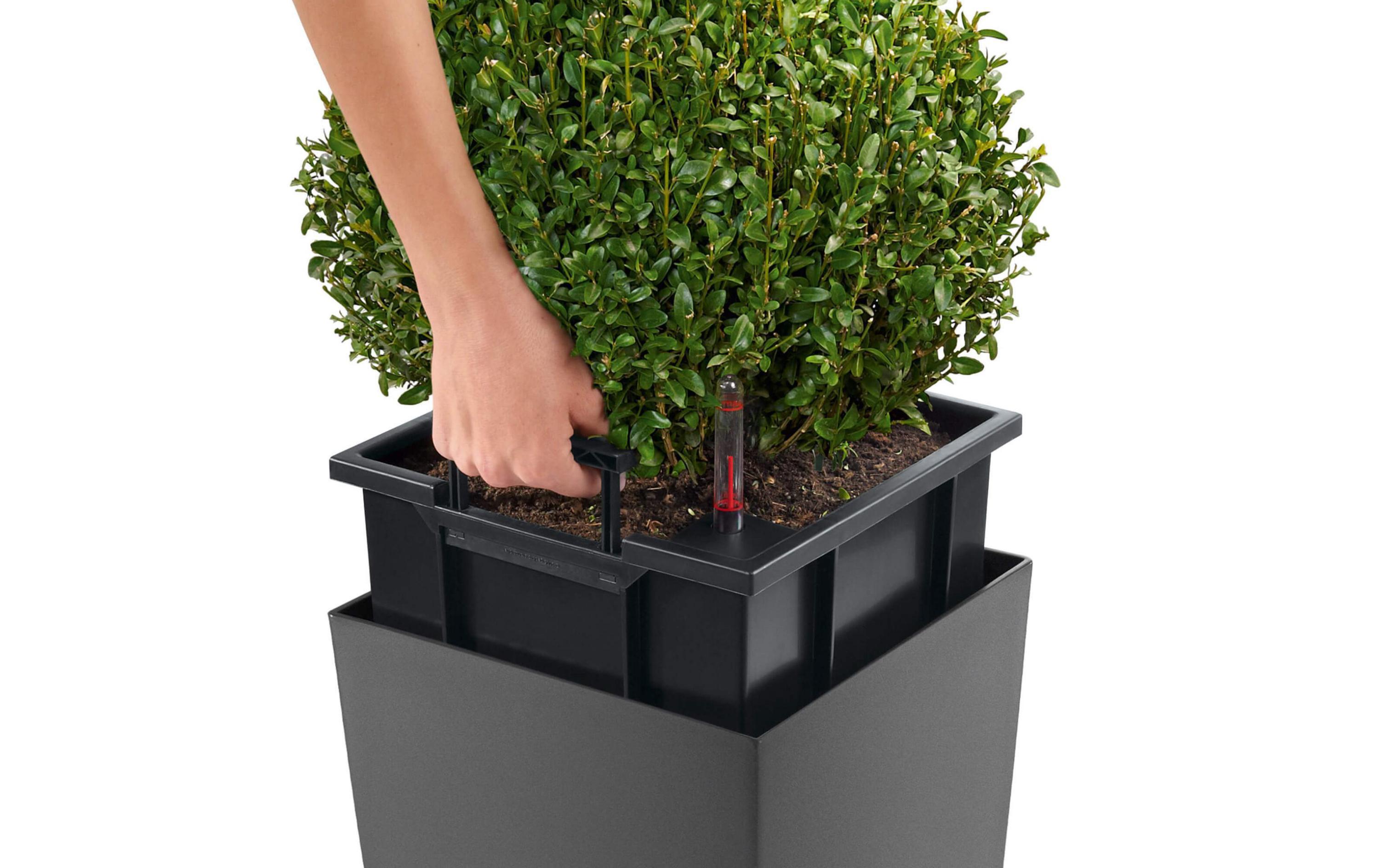 Pflanzentopf Cubico Premium 40 Rot<br>Topf