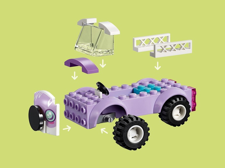 Emma's mobiele dierenkliniek