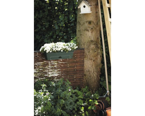 Balkonbak elho Green Basics kunststof 50 x 18 x 16,5 cm bladgroen