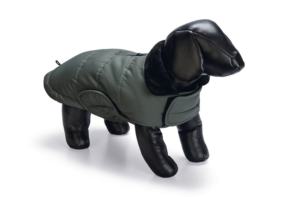 Designed By Lotte Zhanti - Hondenjas - groen - 2XS