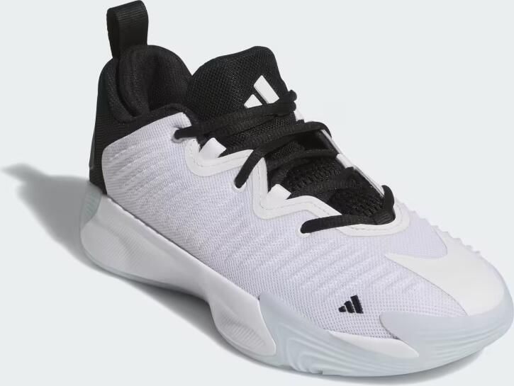 Adidas Initiation Basketbalschoenen Wit 2 3