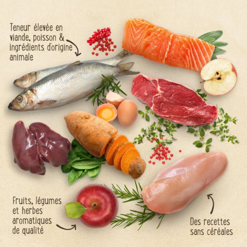 Purizon Puppy poulet, poisson - sans céréales