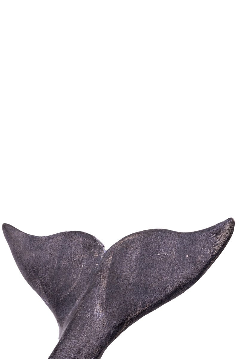 Baleine 80x27 cm